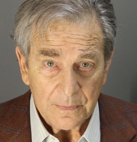 Napa County authorities release Paul Pelosi mugshot weeks after DUI arrest