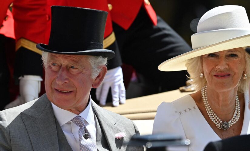 Camilla, Duchess of Cornwall talks about marriage to Prince Charles, past media scrutiny in rare interview