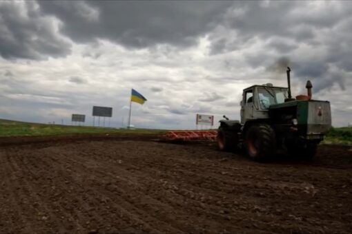 International food crisis stemming from Ukraine war has no quick fixes, experts say