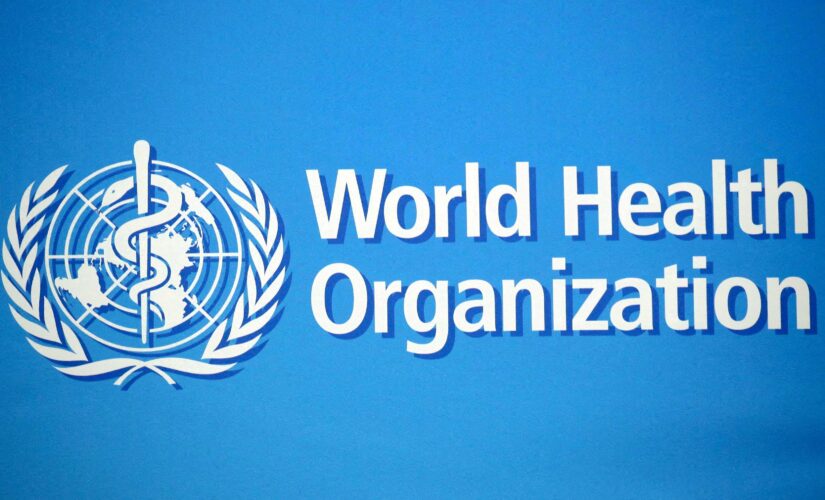 WHO warns ‘sustained transmission’ of monkeypox risks vulnerable groups