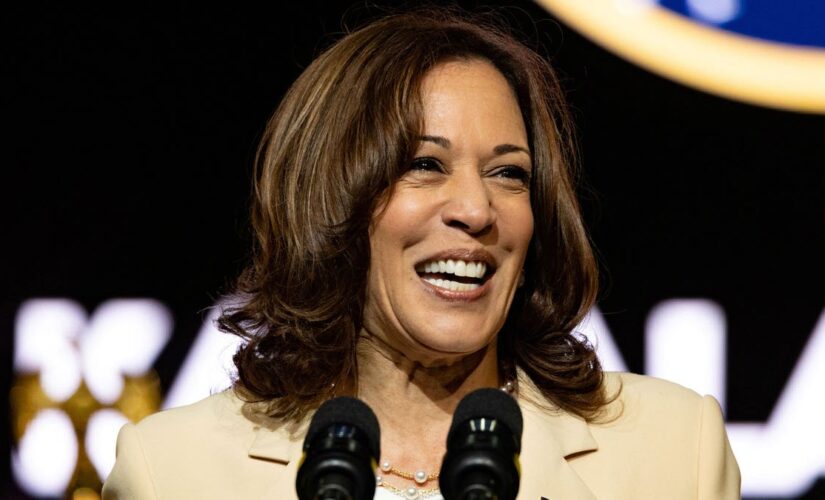 Russian senator mocks Kamala Harris for introducing herself with gender pronouns