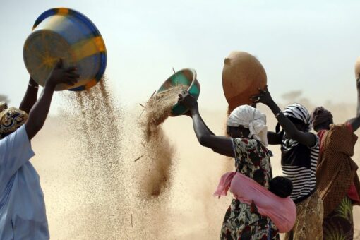 Senators urge USAID to hurry up and distribute congressionally approved aid amid global food crisis