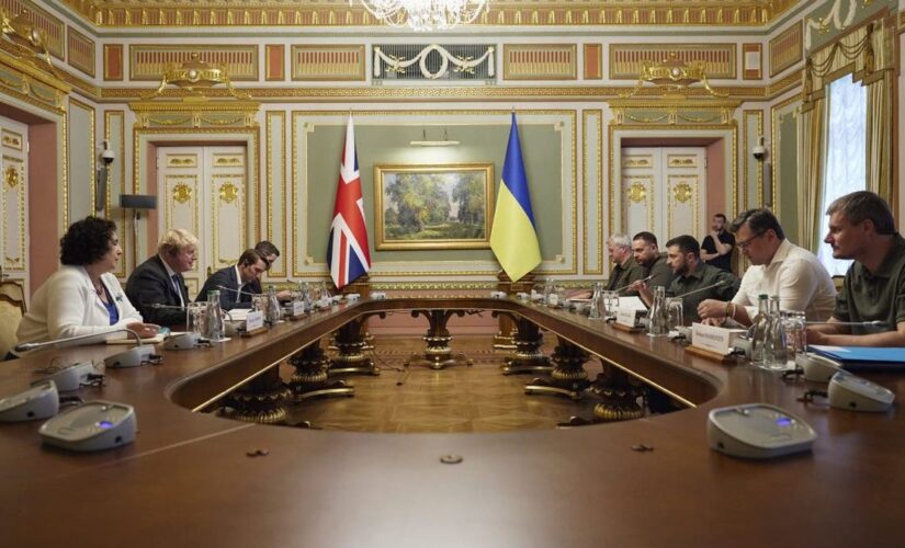 Ukrainians sign petition to give citizenship, PM role to UK’s Johnson