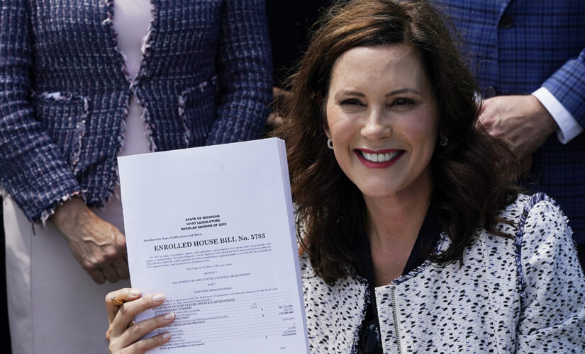 Whitmer vetoes $20M in pro-life adoption funding; rips crisis pregnancy centers as ‘fake health clinics’