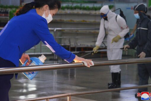 North Korea reports no new COVID cases amid doubts about nation’s statistics