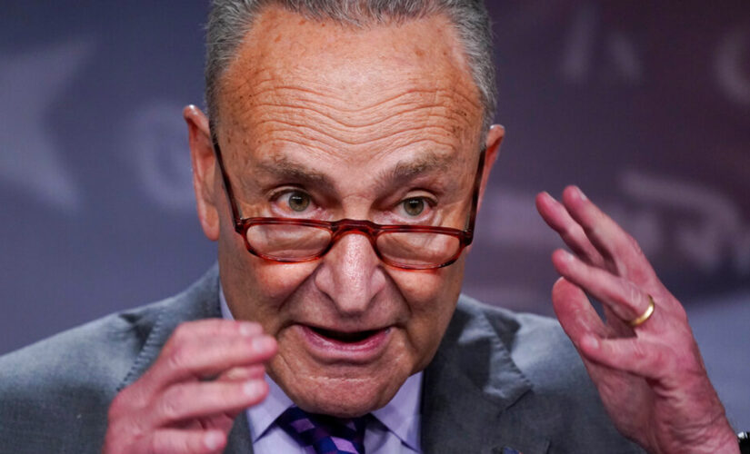 New York Sen. Schumer, other Dems introduce bill to end federal marijuana prohibition