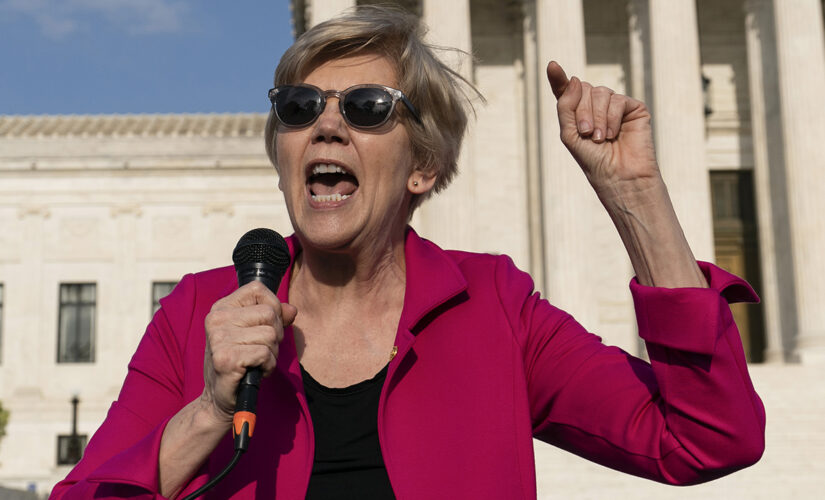 Elizabeth Warren accused pro-life pregnancy centers of ‘torturing’ women. Here’s what they actually do