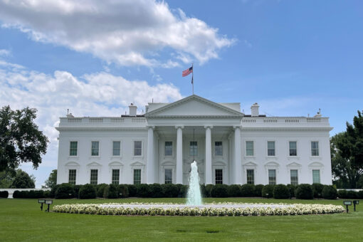 Americans weigh in: Which Democrat should run for presidency in 2024?