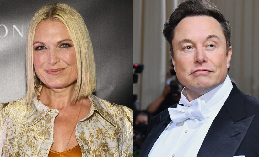 Tosca Musk pushes back on negative jokes about older brother Elon: ‘He is a phenomenon’