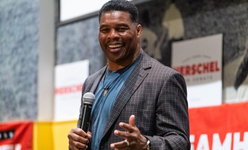 Georgia Senate race: Herschel Walker secures Border Patrol union endorsement