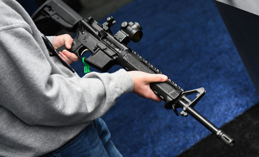 Revisiting the assault weapons ban