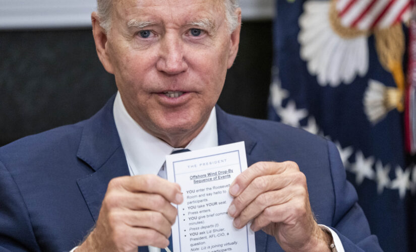 Amid concerns about Biden’s age in 2024, lawmakers say voters should judge president on performance