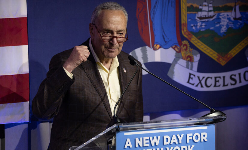 Chuck Schumer tests positive for COVID-19, will work remote as Senate reconvenes this week