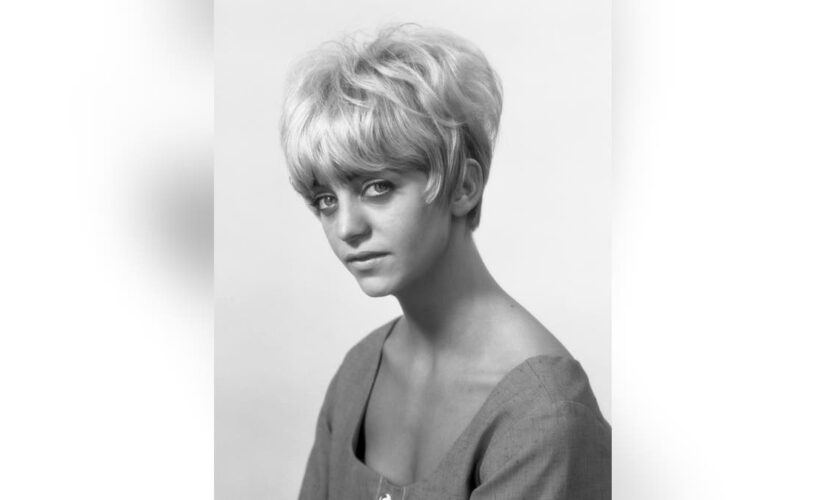 Stunning American actress Goldie Hawn and her life’s work in movies