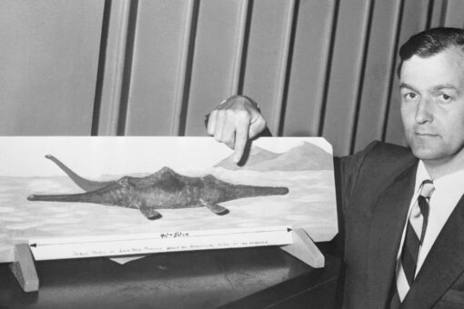 British researchers find fossils showing Loch Ness monster-type creature ‘plausible’