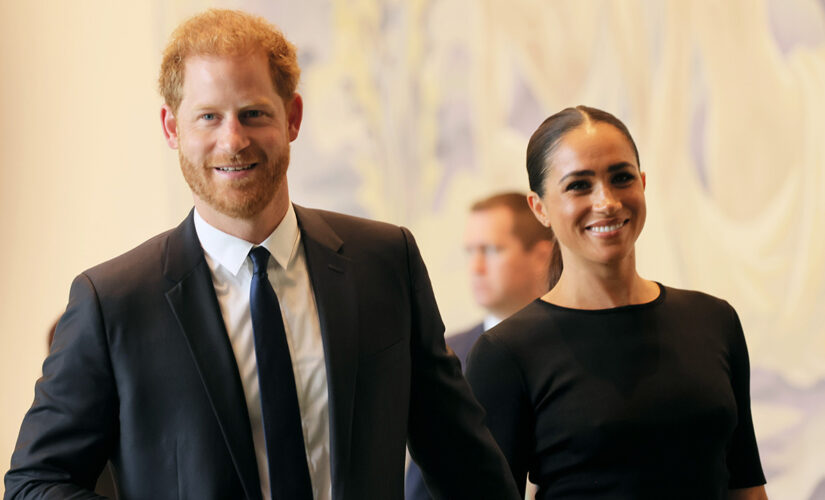 Prince Harry can sue government over security concerns in UK, judge rules