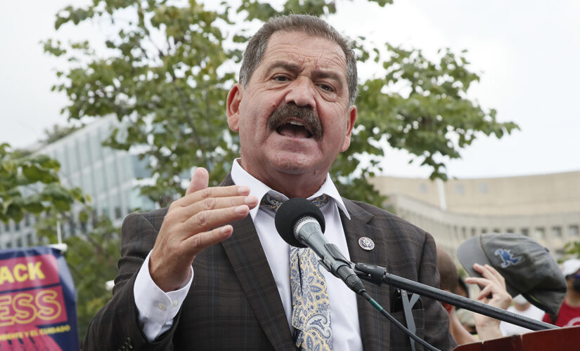 Democratic Rep. Garcia lashes out at Twitter user with profanity, offensive term