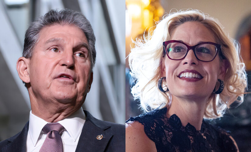 New spox for Schumer-aligned PAC slammed moderate Dems Manchin, Sinema