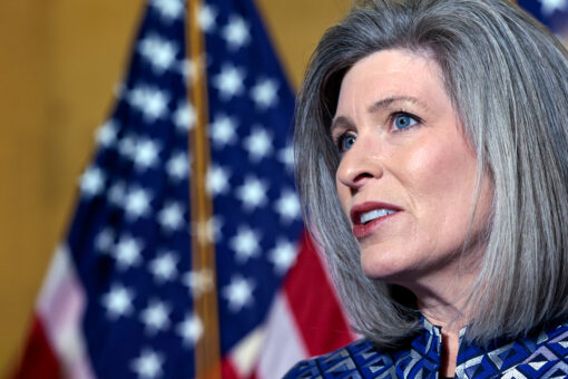 Ernst takes on Putin, global food shortage in push to de-mine the Black Sea