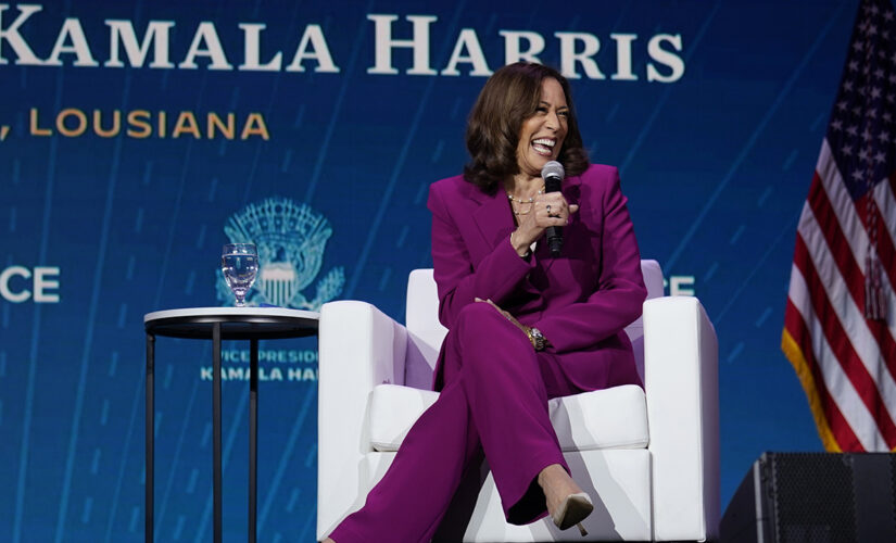 Kamala Harris delivers interview in front of official sign with Louisiana misspelled