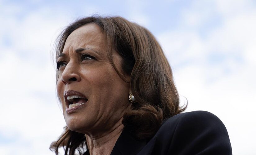 Kamala Harris loses 2 more top aides as VP’s office continues high turnover rate