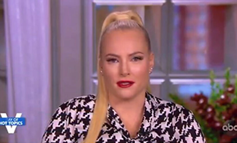 Meghan McCain calls out Elon Musk, Nick Cannon for ‘impregnate the planet’ mentality: ‘Dystopian’