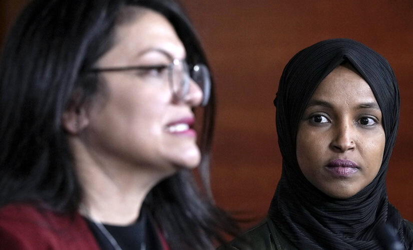 Rashida Tlaib’s campaign dished out $200K to anti-Israel activist, defund the police supporter’s firm