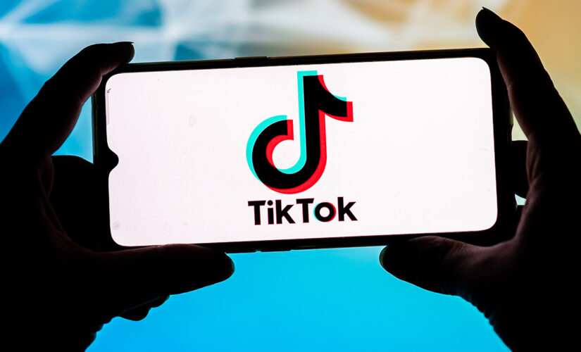Legislators target TikTok, social media dangers with bipartisan CHATS Act: ‘The Wild West’