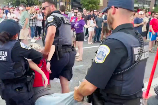 Left-wing climate protesters arrested at Congressional Baseball Game after blocking Nationals Park entrance