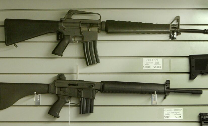 House committee approves first assault weapons ban bill in decades