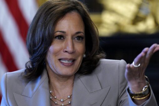 VP Harris calls for ‘assault weapons ban’ on guns ‘intentionally designed to kill’ people