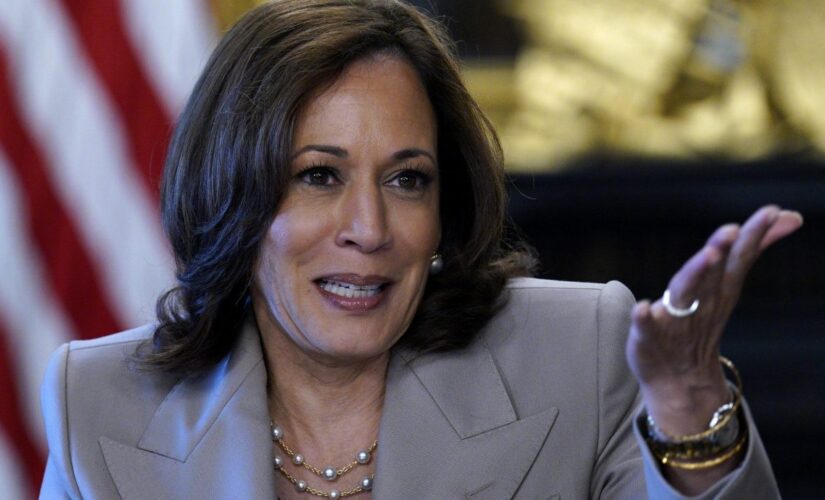 VP Harris calls for ‘assault weapons ban’ on guns ‘intentionally designed to kill’ people