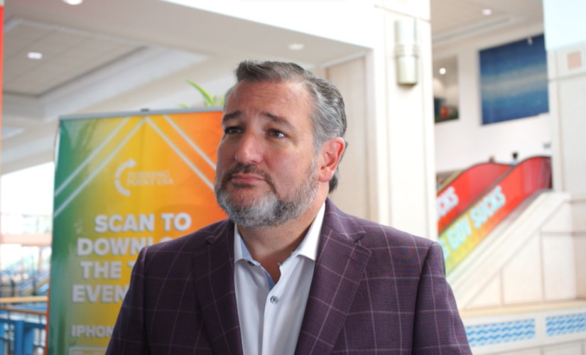Ted Cruz says Trump announcing 2024 run would ‘significantly’ clear GOP field