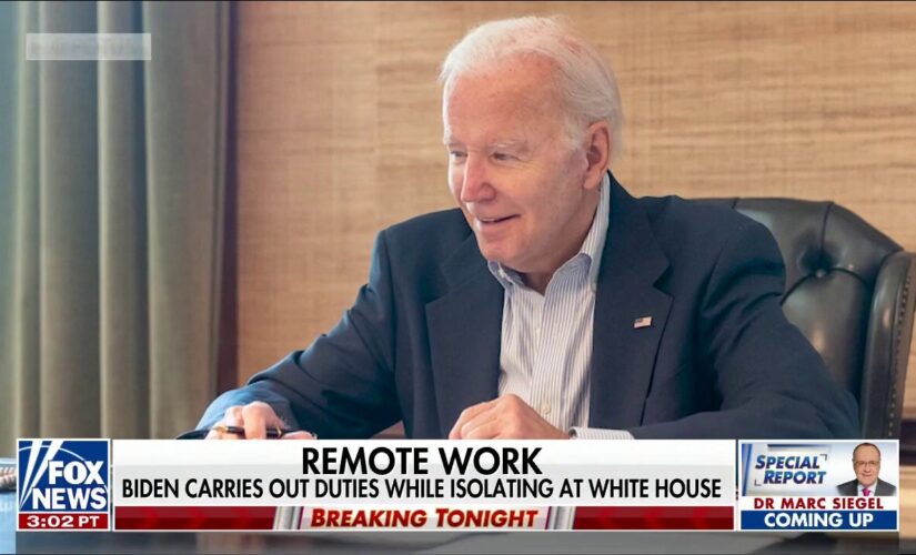 Biden, with COVID, makes unscheduled virtual appearance to talk about gas prices