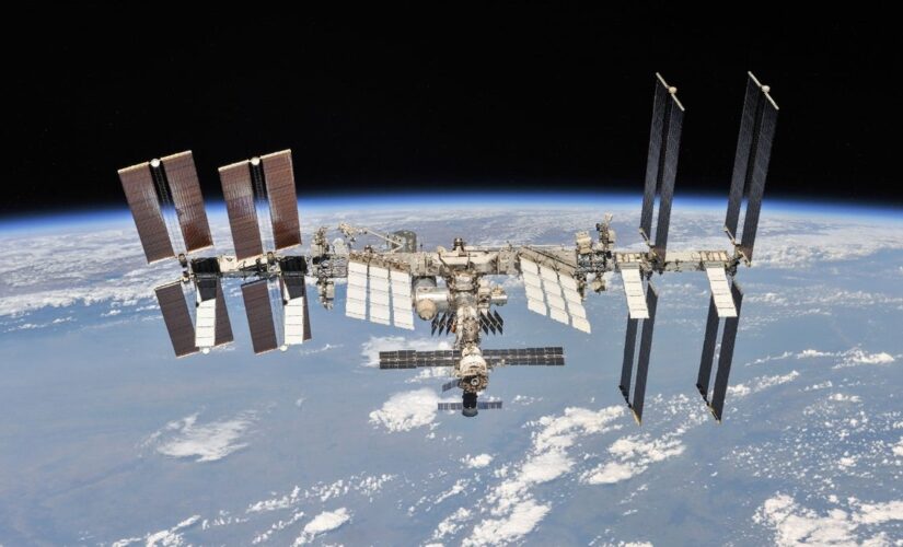 Russia to leave International Space Station project after 2024, director says