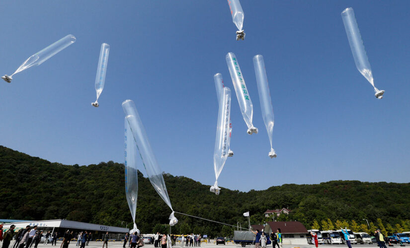 N. Korea suggests balloons flown from South brought COVID-19