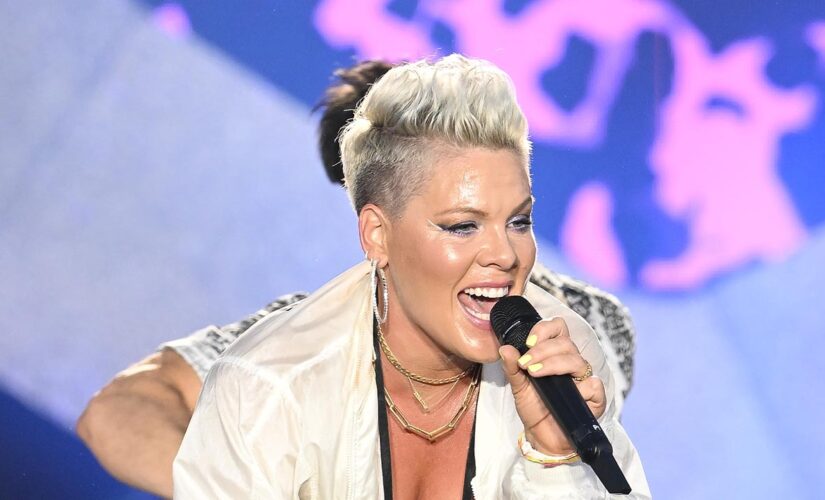 Pink tells supporters of SCOTUS abortion decision to ‘NEVER F—ING LISTEN TO MY MUSIC AGAIN’