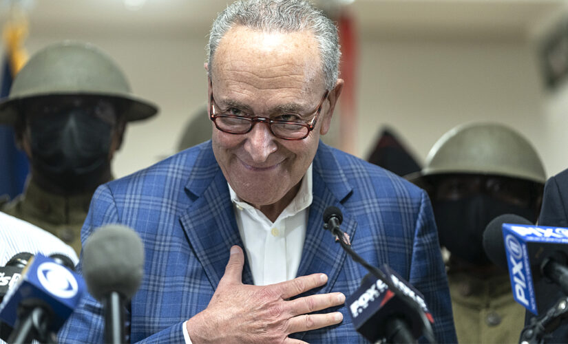 Schumer-aligned dark money nonprofit raked in record $105 million from anonymous donors, tax forms show