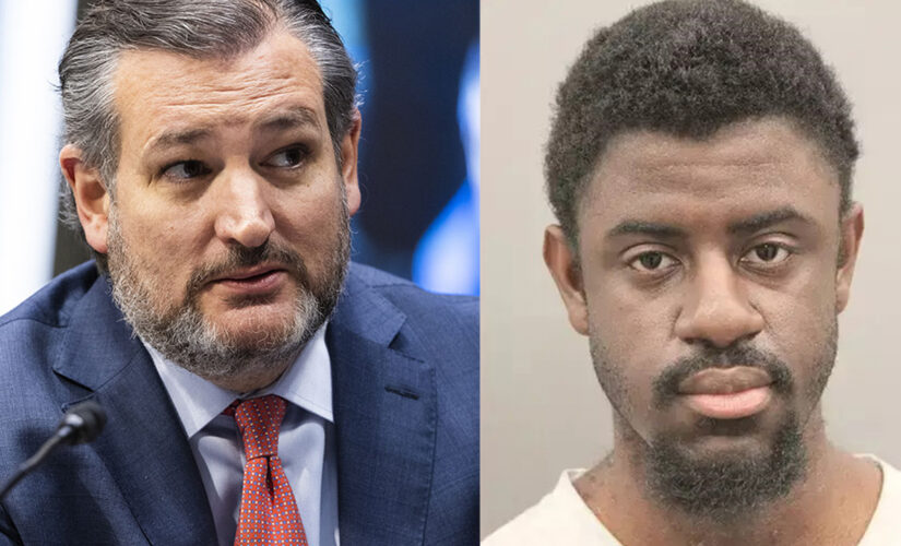 Texas man allegedly tells Cruz he’ll murder Republicans with ‘a brick in your skull,’ court frees him on bond