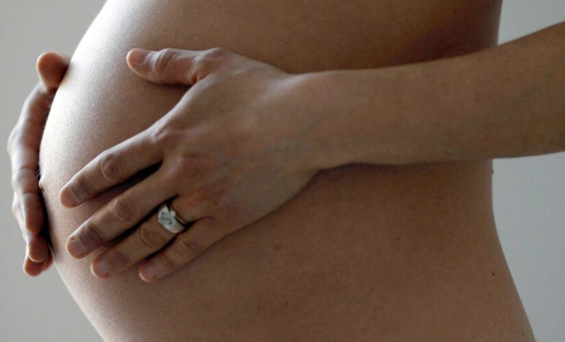 Uterus transplants allow successful pregnancies in US women, study says