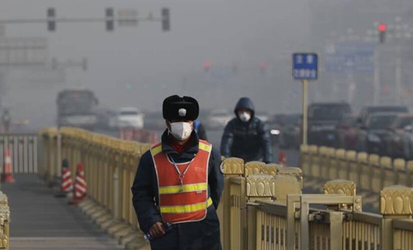 Chinese province aims to be first to ban sales of gasoline cars