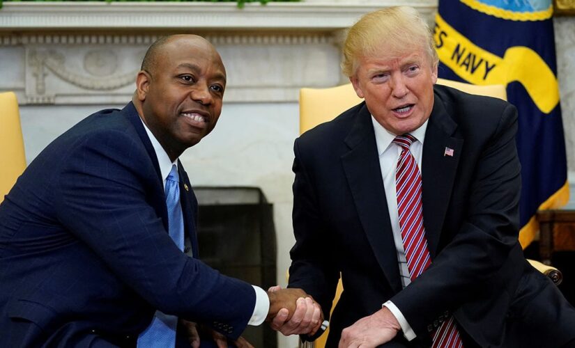 Sen. Tim Scott confronted Trump on racism and it launched a major economic initiative: Exclusive book excerpt