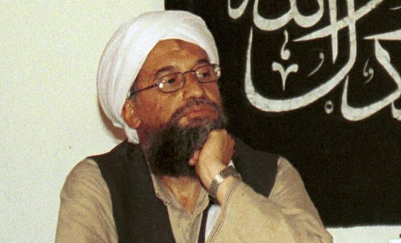 Who is Ayman Al Zawahiri? Al Qaeda leader killed in Afghanistan