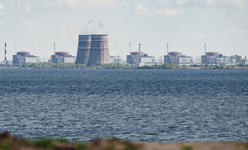 Ukraine nuclear plant occupied by Russian forces temporarily cut off from power grid