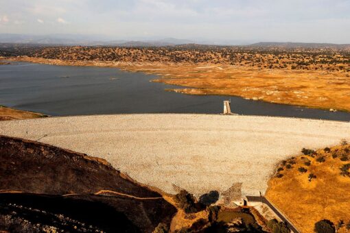 Gavin Newsom criticized over handling of California drought as farms languish