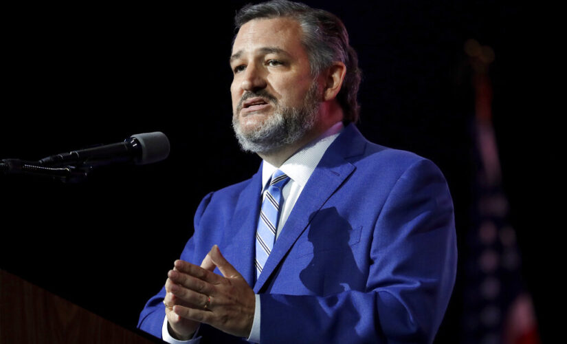 Ted Cruz says ‘zero chance’ Biden runs in 2024, gives GOP 60% chance to flip Senate in midterms