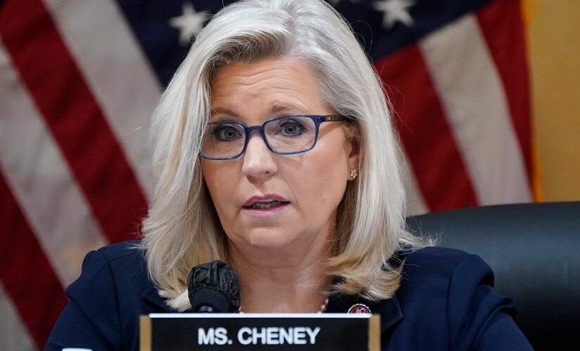 Liz Cheney calls on Democratic voters to switch parties, give her boost in GOP primary