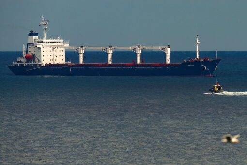 First grain ship to leave Ukraine passes inspection, world waits for more