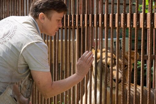 Ukrainian woman continues ‘mission’ to find and rescue animals from Ukraine-Russia war zones