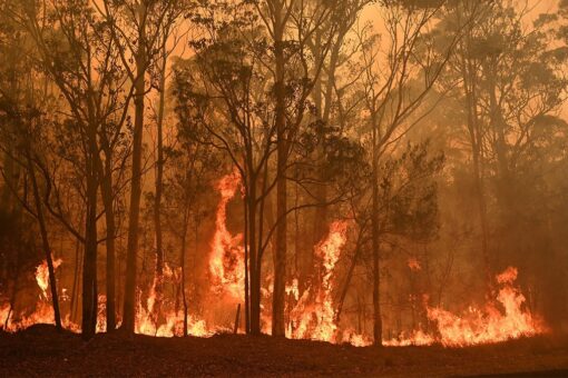 New study says Australian wildfires damaged the ozone layer